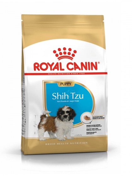 BHN SHIH TZU PUPPY 1,5K_web